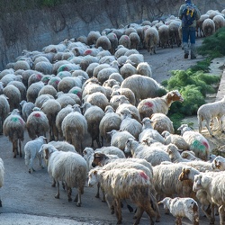 Sicily